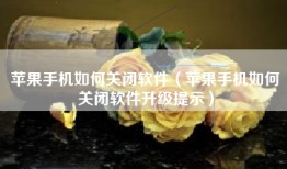 苹果手机如何关闭软件（苹果手机如何关闭软件升级提示）