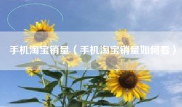 手机淘宝销量（手机淘宝销量如何看）