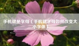 手机键是字母（手机键字母如何改变大小字体）