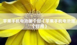 苹果手机电池哪个好（苹果手机电池哪个好用）