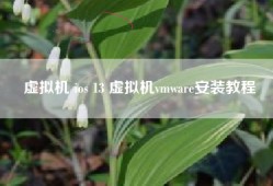 虚拟机 ios 13 虚拟机vmware安装教程