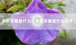 手机字幕是什么（手机字幕是什么软件）