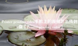 Printer proofing video手机上的视频怎么传到u盘「Printer proofing video」