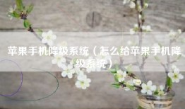 苹果手机降级系统（怎么给苹果手机降级系统）