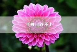 手机wifi连不上
