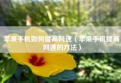 苹果手机如何提高网速（苹果手机提高网速的方法）