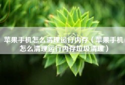 苹果手机怎么清理运行内存（苹果手机怎么清理运行内存垃圾清理）