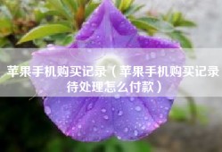 苹果手机购买记录（苹果手机购买记录待处理怎么付款）