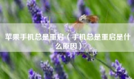 苹果手机总是重启（手机总是重启是什么原因）