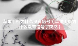 苹果手机为什么没有信号（苹果手机为什么没有信号了突然）