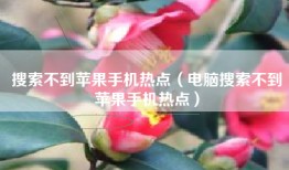 搜索不到苹果手机热点（电脑搜索不到苹果手机热点）