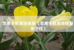 苹果手机系统恢复（苹果手机系统恢复多少钱）