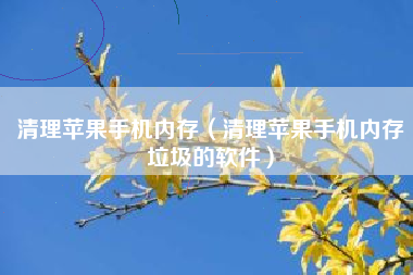 清理苹果手机内存（清理苹果手机内存垃圾的软件）