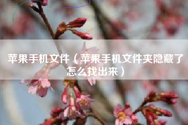 苹果手机文件（苹果手机文件夹隐藏了怎么找出来）