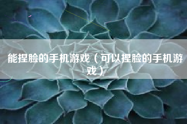 能捏脸的手机游戏（可以捏脸的手机游戏）