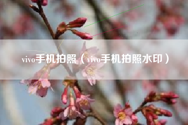 vivo手机拍照（vivo手机拍照水印）