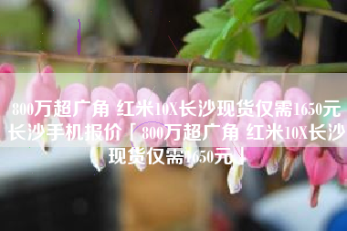 800万超广角 红米10X长沙现货仅需1650元长沙手机报价「800万超广角 红米10X长沙现货仅需1650元」